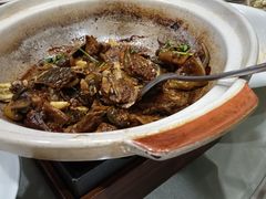 -食神鱼头佛跳墙(百子湾旗舰店)