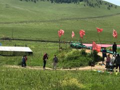 -乌兰布统草原