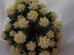 -喜茶(广州荔湾领展广场店)