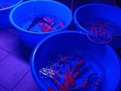 -华声天桥民俗文化园