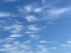 -春花秋色城市公园