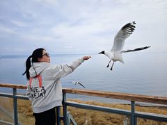 -青海湖国家重点风景名胜区