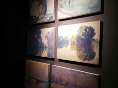 -印象莫奈时光映迹艺术展