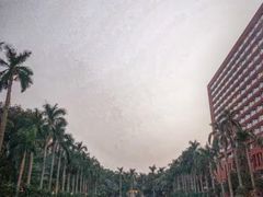 -中山大学学者灵芝(园南路店)