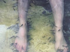 -长白山聚龙火山温泉
