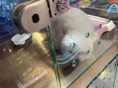 -FAELING PETS美天灵宠物(富力广场店)