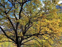 -北京密云天门山风景区