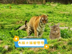 -西安秦岭野生动物园