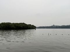 -西湖游船
