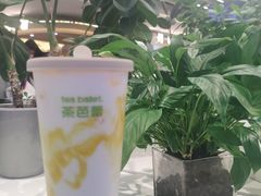 -茶芭蕾·新疆酸奶(美美1店)