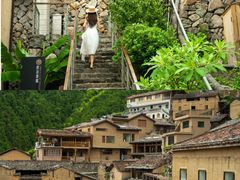 -杨家堂村
