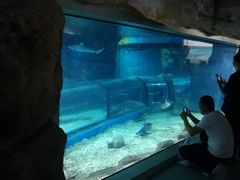 -福州罗源湾海洋世界旅游区