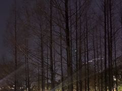 -南京眼步行桥