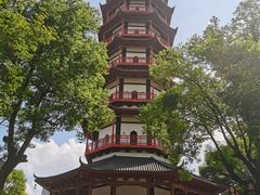 -绳金塔