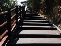 -羚羊峡古栈道森林公园