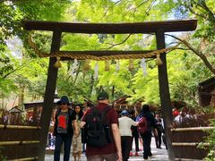 -野宫神社