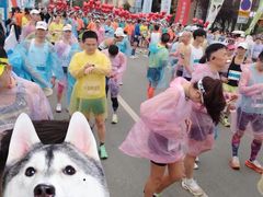 -随州碧桂园凤悦凤凰酒店