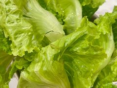 -培万河间驴火•驴肉火锅(东平店)