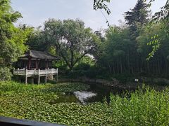 -求雨山文化公园