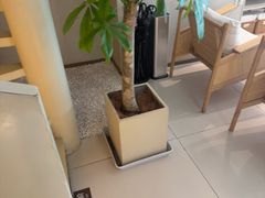 -泰合玺·精油疗愈 SPA(南京河西万达店)