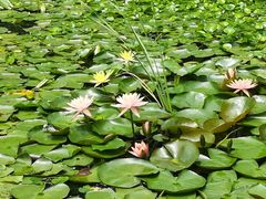 -爱电竞酒店(苏州石路地铁站山塘街店)