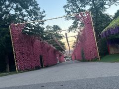-北京凤凰岭