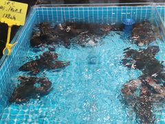 -梁家大院•农家菜(昆山会展中心店)