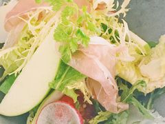 -蝶舍·MAISON PAPILLON