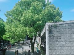 -南宋御街