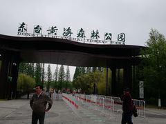 -黄海国家森林公园