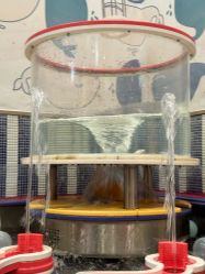 -奈尔宝家庭中心·亲子餐厅(苏州大悦城店)