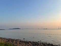 -宝安西湾红树林湿地公园