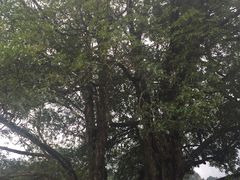 -毛泽东同志旧居