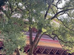 -南岳大庙