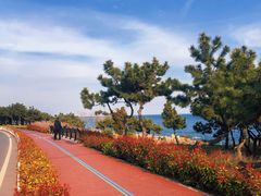 -青岛银沙滩