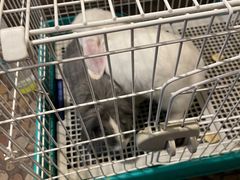 -大象厨房(重庆道店)