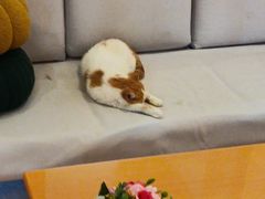 -首开寸草亚运村养老院
