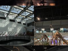 -自贡恐龙博物馆