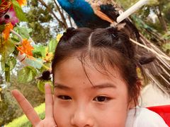 -辛玛王国游乐园