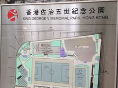 -香港佐治五世纪念公园