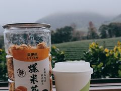 -白茶原·一片叶子