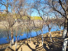 -桃花堤公园
