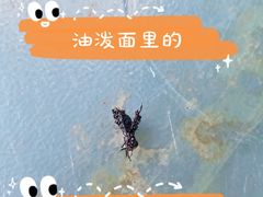 -老陈婆手工面庄