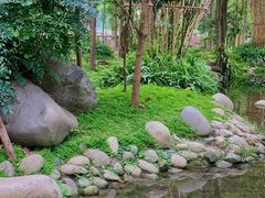 -成都市活水公园