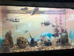 -烟台海昌鲸鲨海洋公园