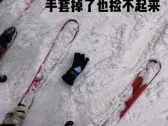 -广州热雪奇迹
