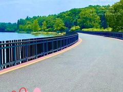-东湖生态旅游风景区