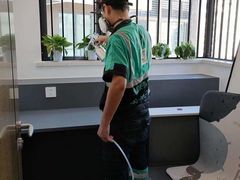 -叶子环保专业除甲醛(广州总部)
