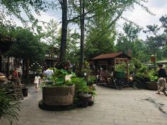 -青城甲(青城山店)