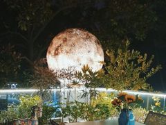 -恬阿姨庭院餐厅·生日宴